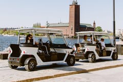 Stockholm: Private Golfcart-Tour – 60 & 120 Minuten