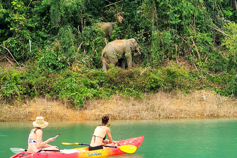 Khao Sok: Overnight Raft House Cheow Lan Lake & Coral Cave Option 1: Join Trip Raft House with Fan & *Shared Bathroom