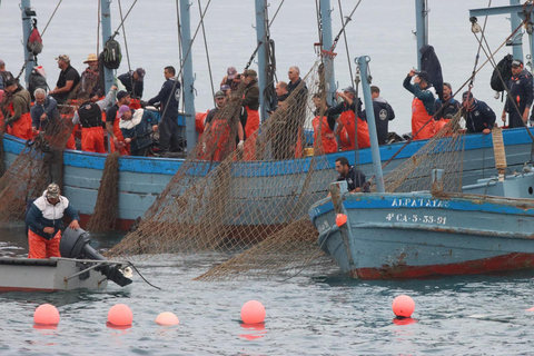 Barbate : Tour en bateau à l&#039;Almadraba de Conil (pêche au thon)