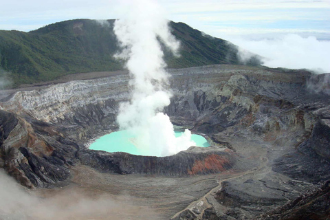 Volcan Poas: Volcan Poas National Park Flora & Fauna Tour