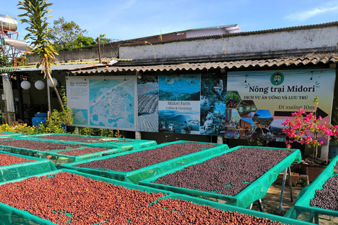 Dalat: piantagione di caffè, fabbrica di seta e tour culturaleDalat: tour tra piantagioni di caffè, fabbriche di seta e cultura