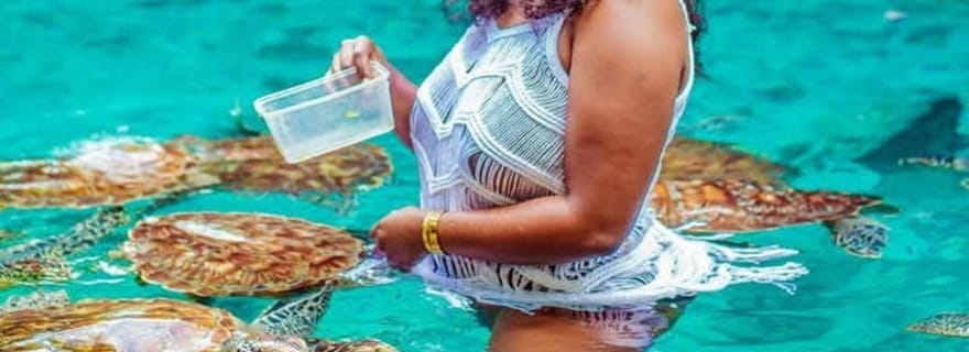 ZANZIBAR : Forêt de Jozani, Grotte de Salaam et Plage de Mtende