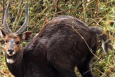 3 Days Short excursion around Addis Ababa