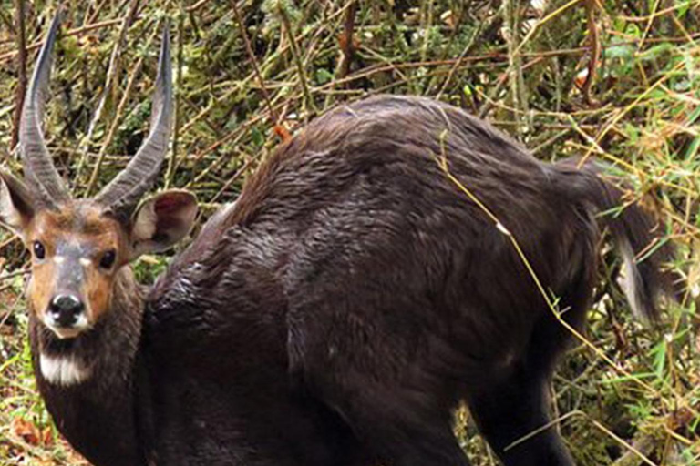 3 Days Short excursion around Addis Ababa