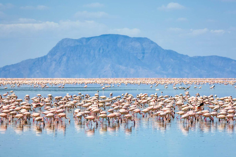 4 jours de safari au camp sauvage du Ngorongoro et au lac Manyara