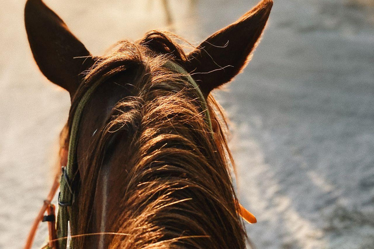 Saint John: Private Sunset Horseback Riding Experience