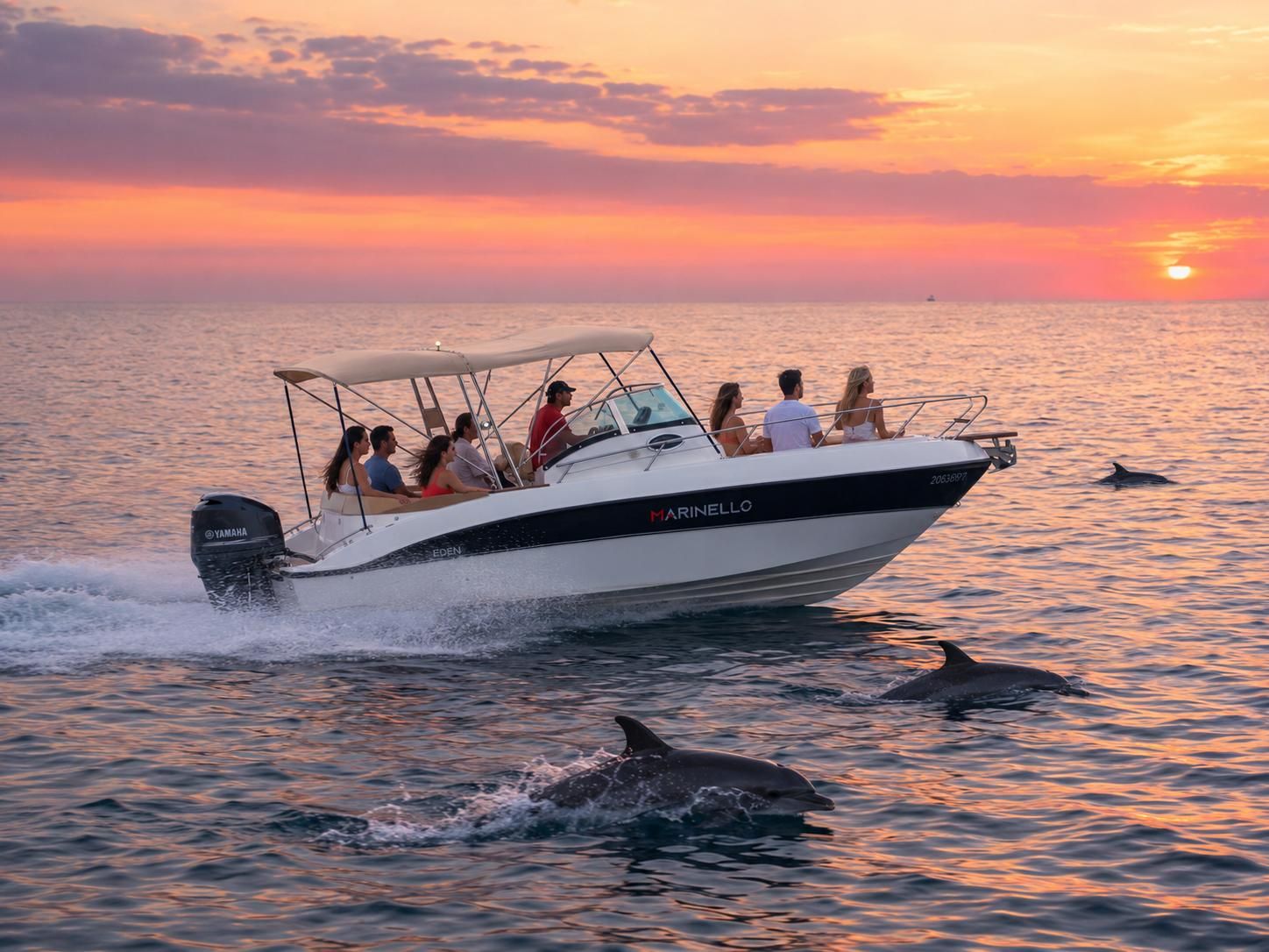 Poreč: Delfin-Safari in der “Goldenen Stunde” für Kleingruppen