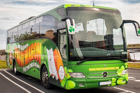 Morning Blarney Castle & Kinsale Half Day Tour from Cork