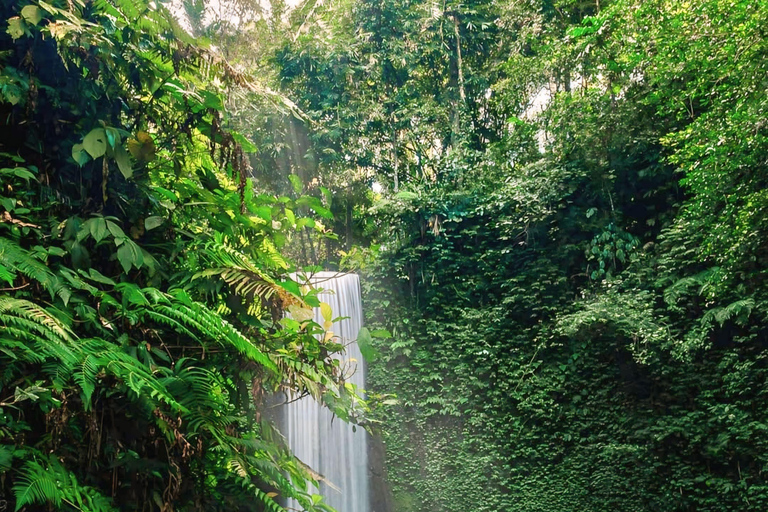 Ubud : Visite privée des cascades cachées et des rizières en terrassesVisite privée sans billet d&#039;entrée