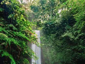 Ubud: Private Hidden Waterfalls and Rice Terrace Tour