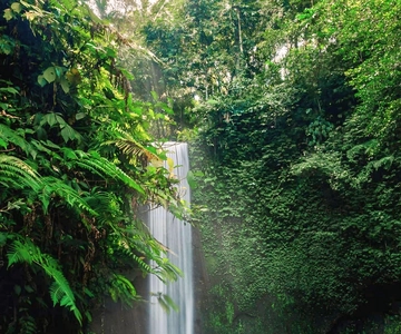 Ubud: Private Hidden Waterfalls and Rice Terrace Tour