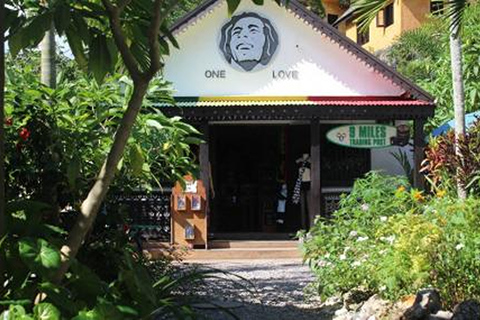 Bob Marley Mausoleum & Dunn’s River Falls Private Tour