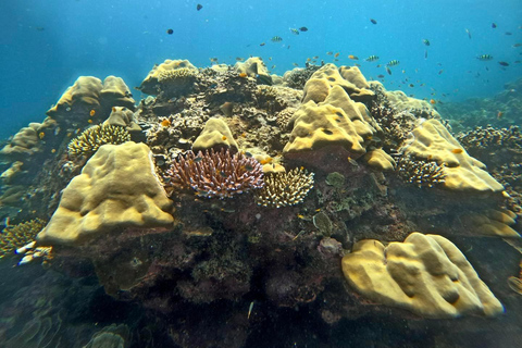 Khao Lak : Excursion de plongée en apnée dans les îles Surin avec le village Moken