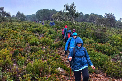 Sidi Mechreg: Guided Coastal Adventure with Lunch & Hike