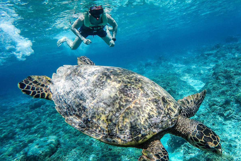 snorkeltrip bij zonsondergang