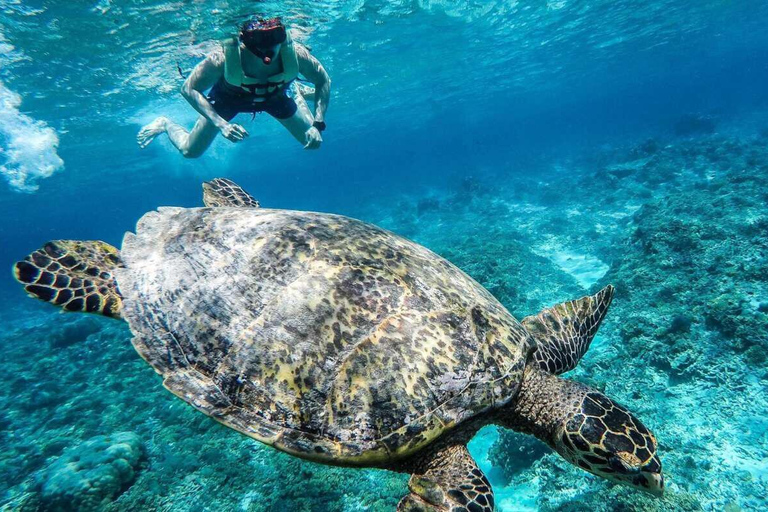 snorkeltrip bij zonsondergang