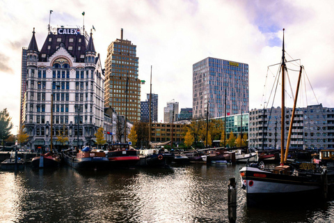Waterbus: Rotterdam, Kinderdijk, Dordrecht Tix & Audio Tours