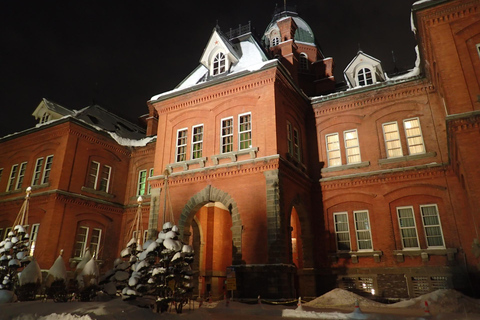 Sapporo: Illuminated Landmarks and TV Tower Night View Tour