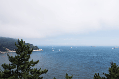 Busan: City Tour of 3 Historic Neighborhoods by Public Bus