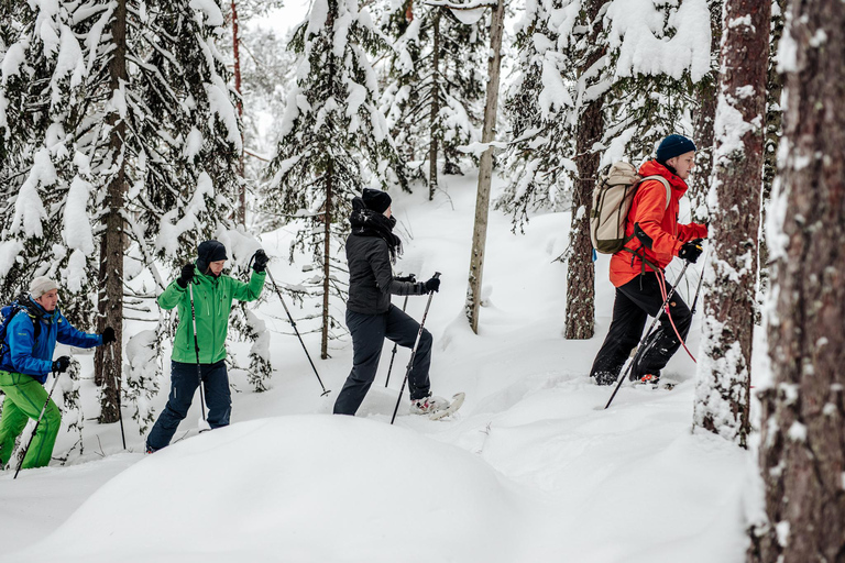 Espoo: Visita guiada com raquetes de neve no Parque Nacional de Nuuksio