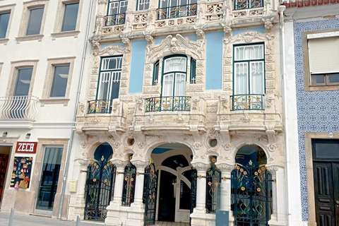 From Porto: Aveiro and Costa Nova Half-Day Tour with Cruise