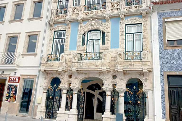 From Porto: Aveiro and Costa Nova Half-Day Tour with Cruise