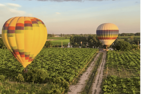 ركوب منطاد الهواء الساخن فوق كروم العنب في مندوزا ونخب النبيذركوب منطاد الهواء الساخن فوق كروم الع