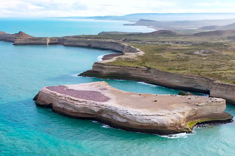 El Calafate: Monte León 4x4 Wolves and Penguins Excursion