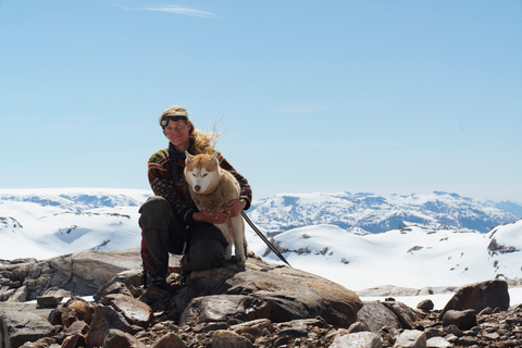 Tromsø: Aventura exclusiva en trineo tirado por perros