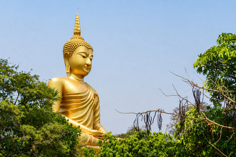 Bangkok: Giant Buddha & Ayutthaya Afterlife Tour Round Trip Transportation & Guide