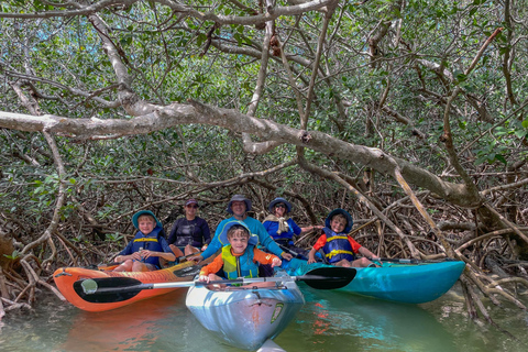 Tavernier, FL: Mangrove and Manatees Guided Kayak Eco Tour