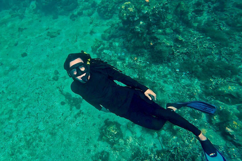 Cartagena: Barú and Rosario Islands Snorkeling Tour From Cartagena: Rosario Islands Snorkeling Tour