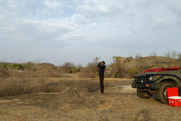 Jodhpur To Udaipur: Ranakpur Temple & Jawai Leopard Safari