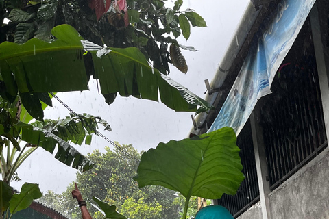 特特巴图：瀑布、香料、梯田、猴子森林特特巴图之旅、香料、瀑布、梯田、猴林