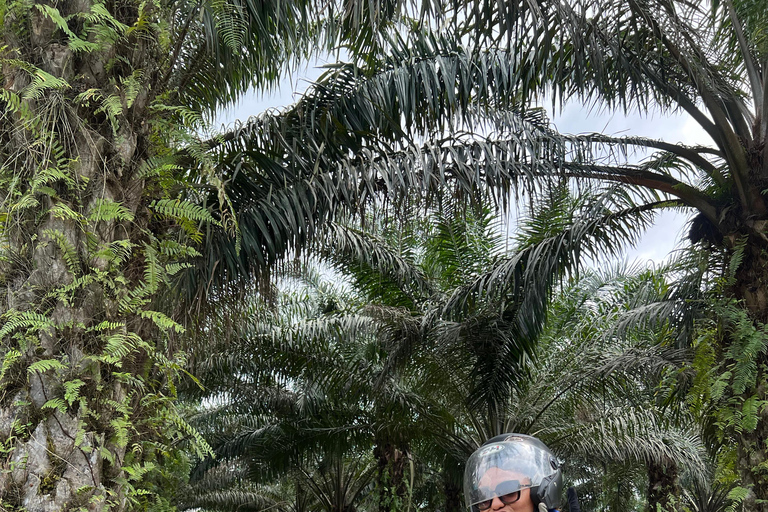 Full Day Tour: Aburi Botanical Gardens, ATV, & Waterfalls