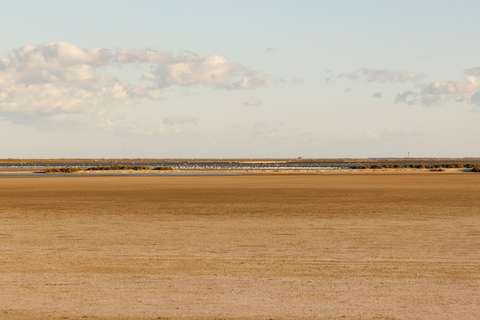 Aigues-Mortes 3H: Discover the secret Camargue in a 4x4 Full-Day