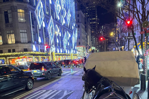 NYC: Central Park Christmas Lights Horse-Drawn Carriage Ride