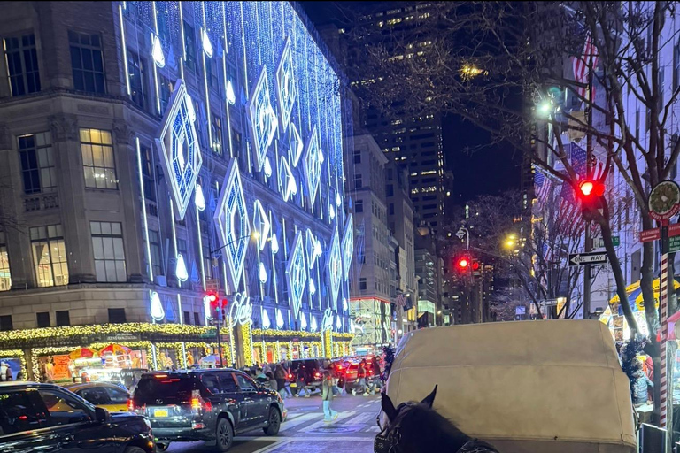 NYC: Central Park Christmas Lights Horse-Drawn Carriage Ride