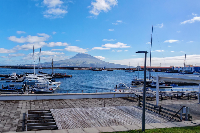Horta, Faial, Azoren: Wanderungen und Touren mit einem lokalen GuideHorta, Faial, Azoren: Wanderungen und Touren mit lokalem Guide