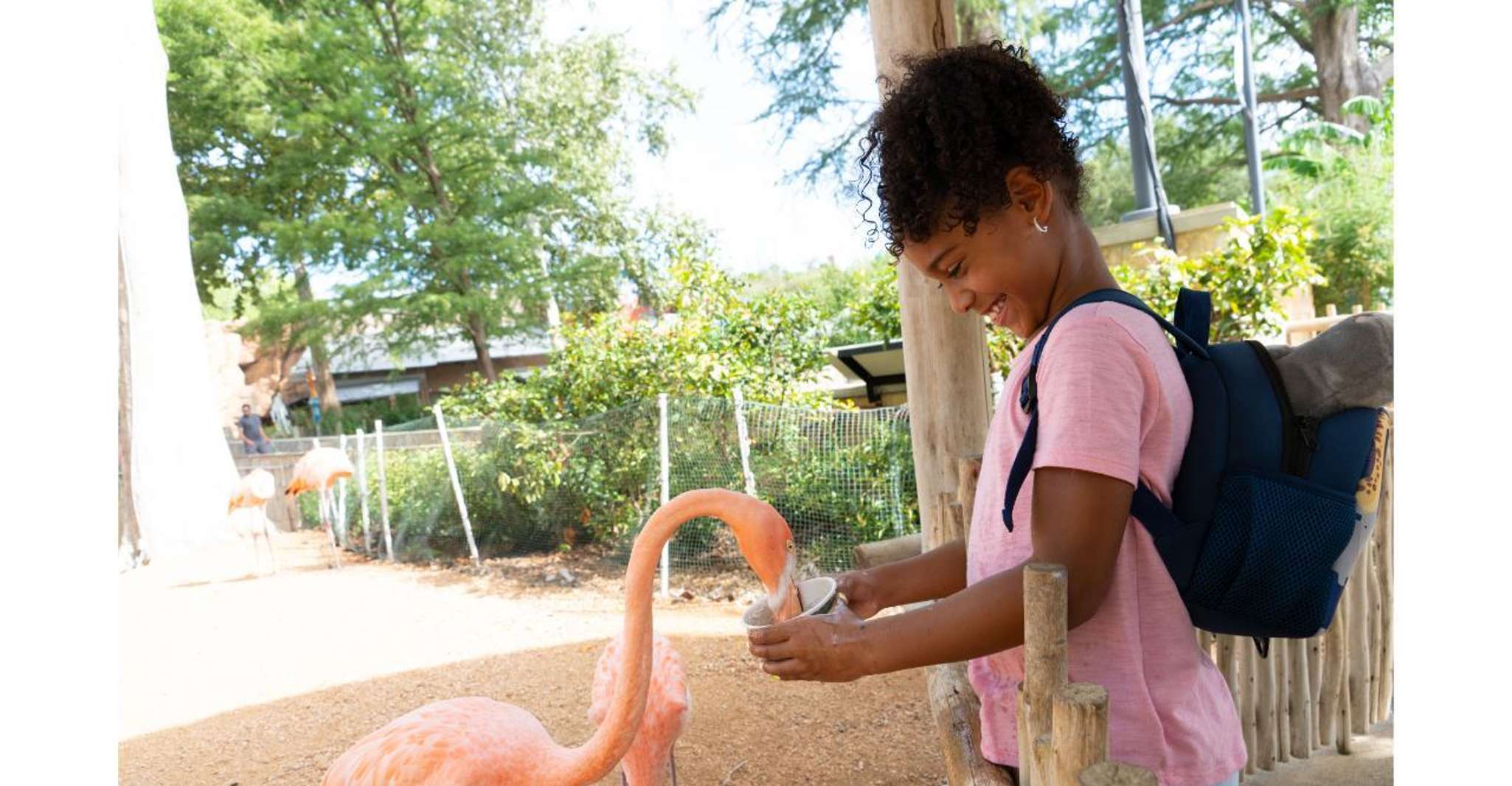 San Antonio Zoo Any Day Ticket photo 19