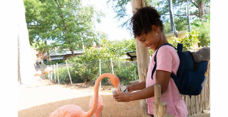 San Antonio Zoo Any Day Ticket photo 19