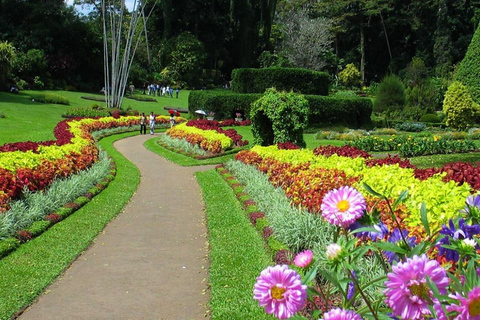 Kandy: Private Tuk Tuk City Tour with Local Guide