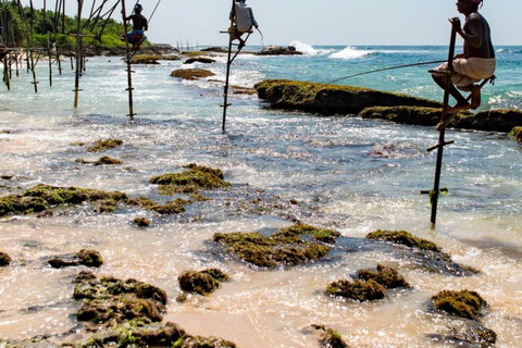 Mirissa Whale Watching, Turtle Snorkeling &Coconut Hill Tour Private Tour from Colombo, Negombo or Mount Lavinia