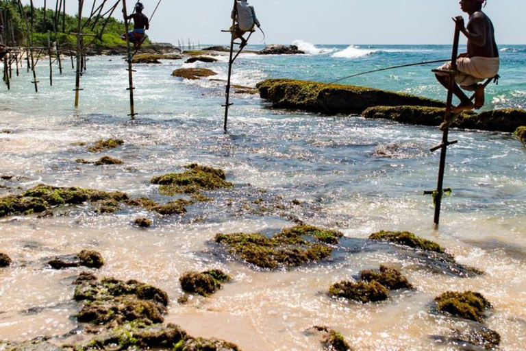 Mirissa Whale Watching, Turtle Snorkeling &Coconut Hill Tour Private Tour from Colombo, Negombo or Mount Lavinia