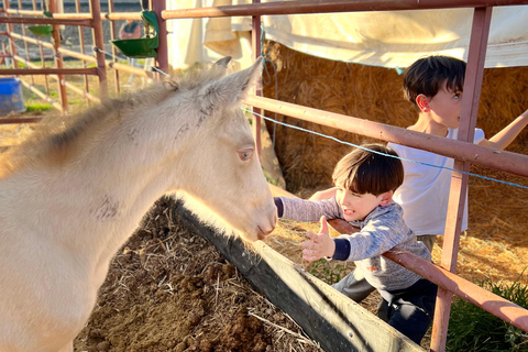 Guided tour on horseback through the guadalhorce valley