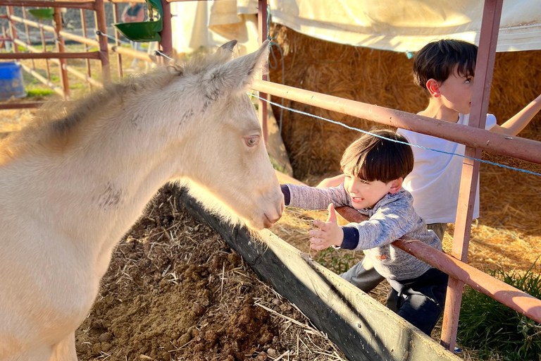 Guided tour on horseback through the guadalhorce valley