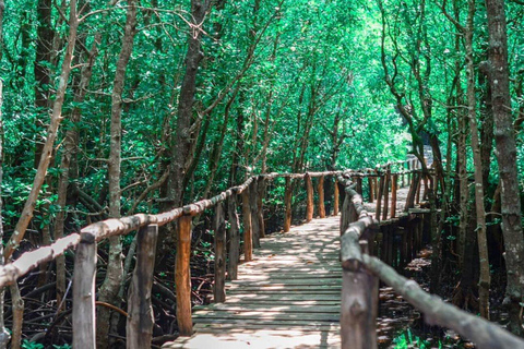 Zanzibar: Jozani Forest with Mangrove Boardwalk Experience Private Tour with Transfers (Anywhere in Zanzibar)