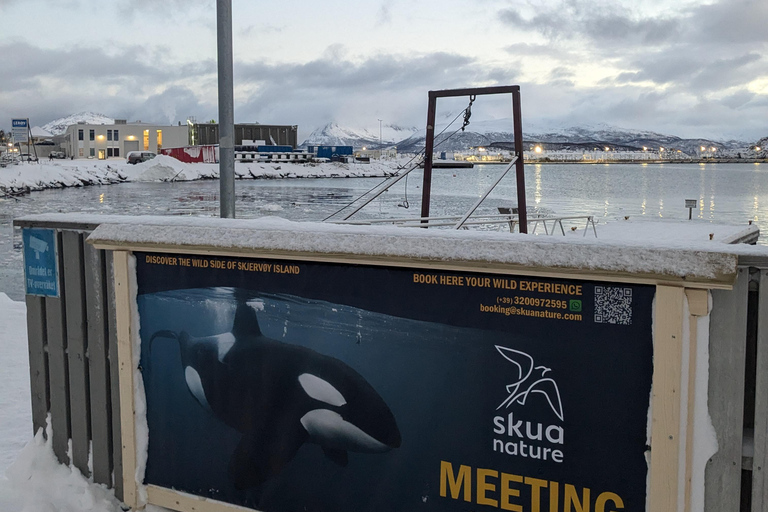 Tromsø: Orca and Whale Watching Heated Boat Trip Tromsø: Orca and Whale Watching comfort heated boat Trip