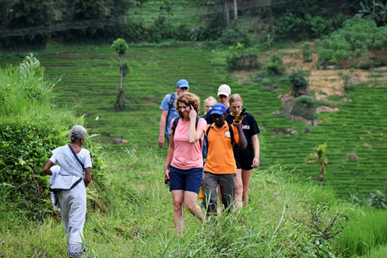 From Kandy: Guided Village Tour & Cooking Class