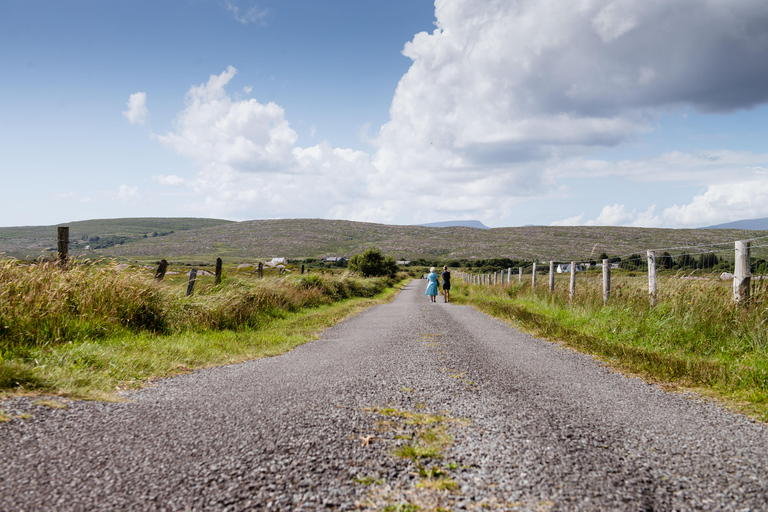From Cork: West Cork to Mizen Head Guided Full Day Tour
